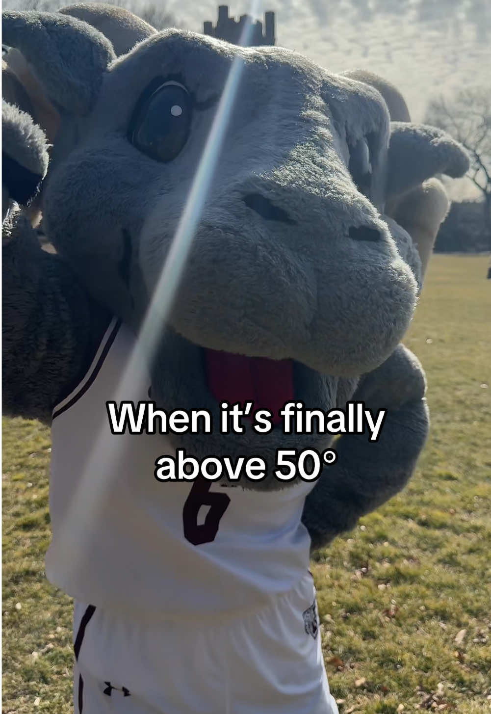 Video post by @fordhamuniversity on TikTok