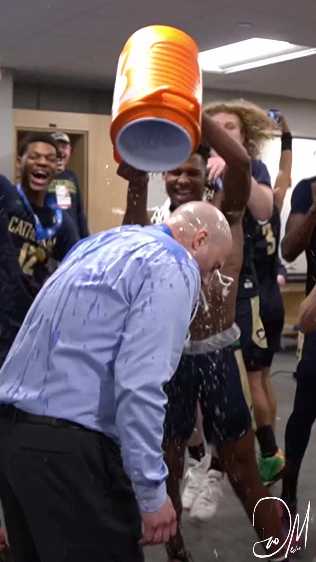 Video post by @daomedia on TikTok