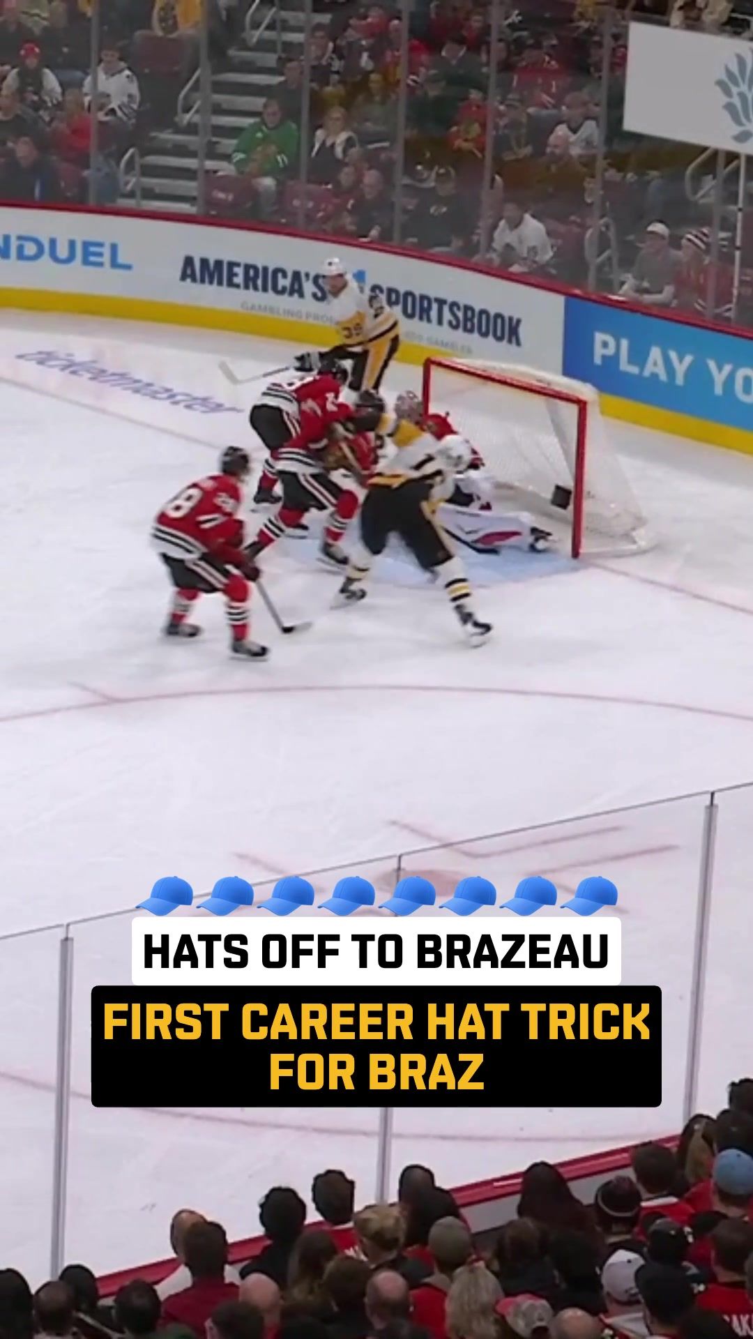 Video post by @penguins on TikTok