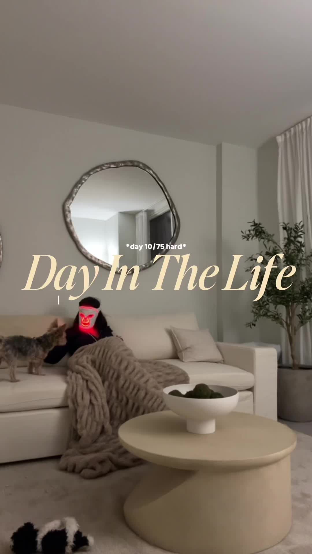 Video post by @jazturner16 on TikTok