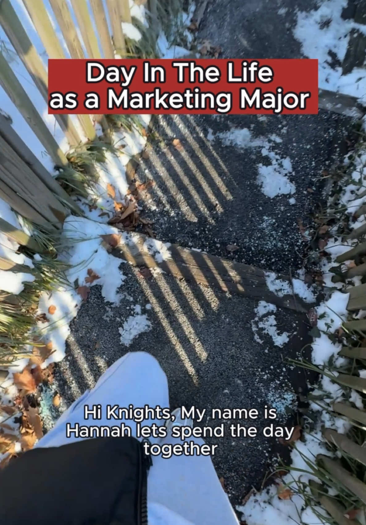 Video post by @arcadiauniversity on TikTok