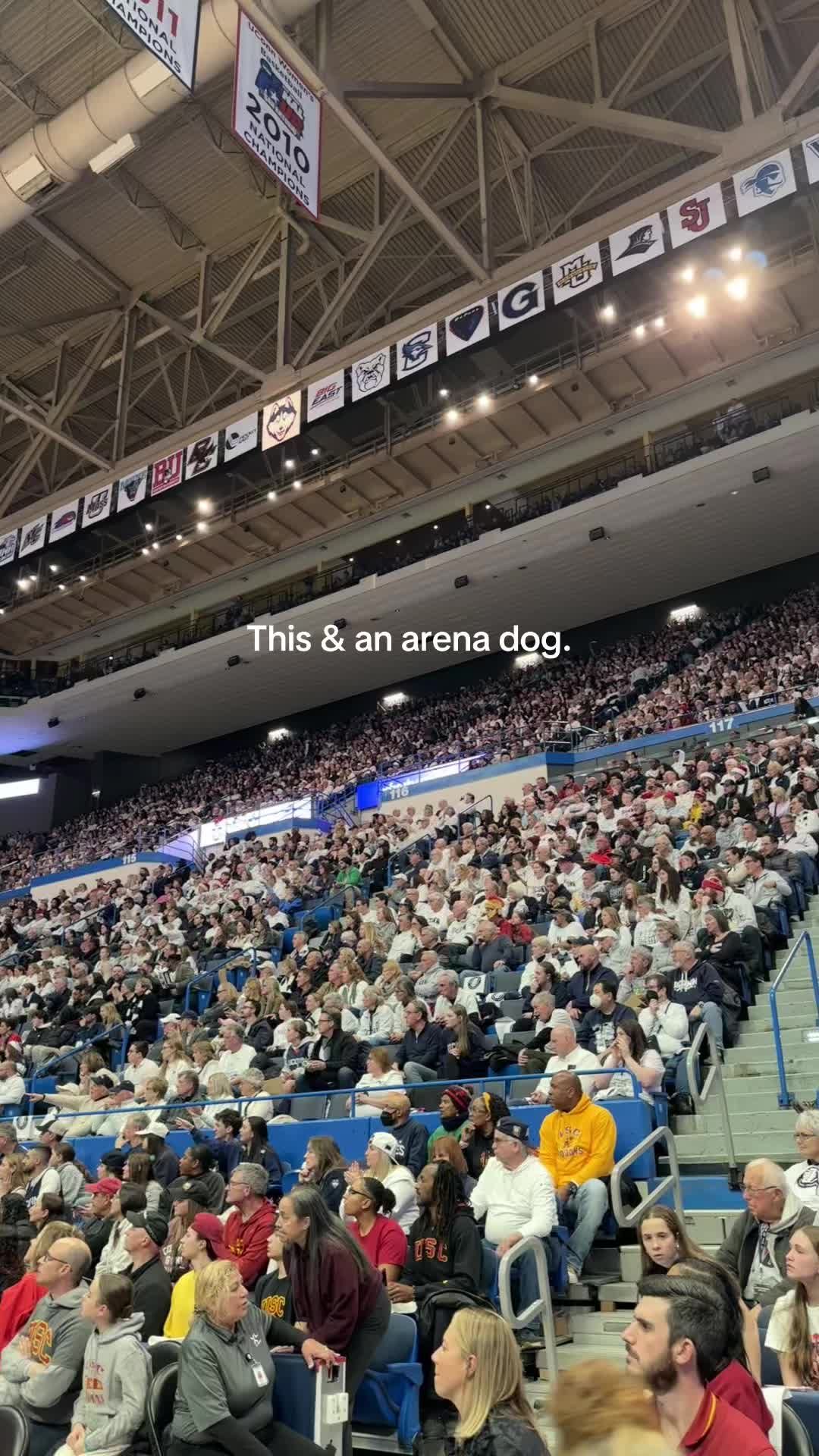 Video post by @xlc_pws on TikTok