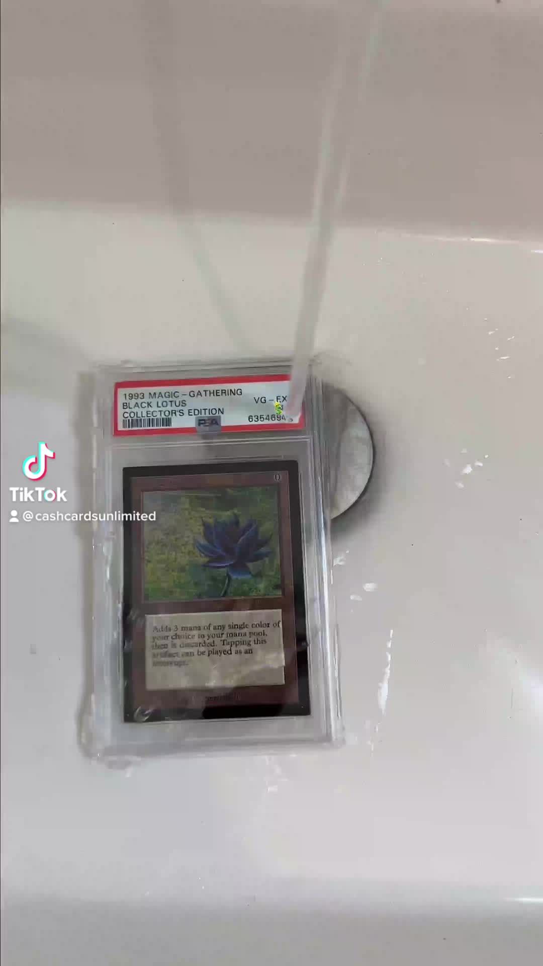 Video post by @cassiusmarsh7 on TikTok