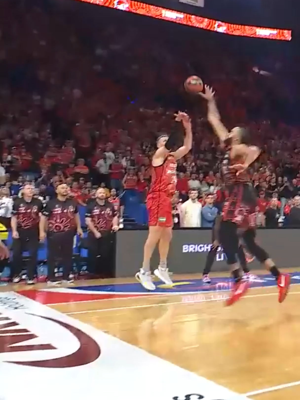 Video post by @nbl on TikTok