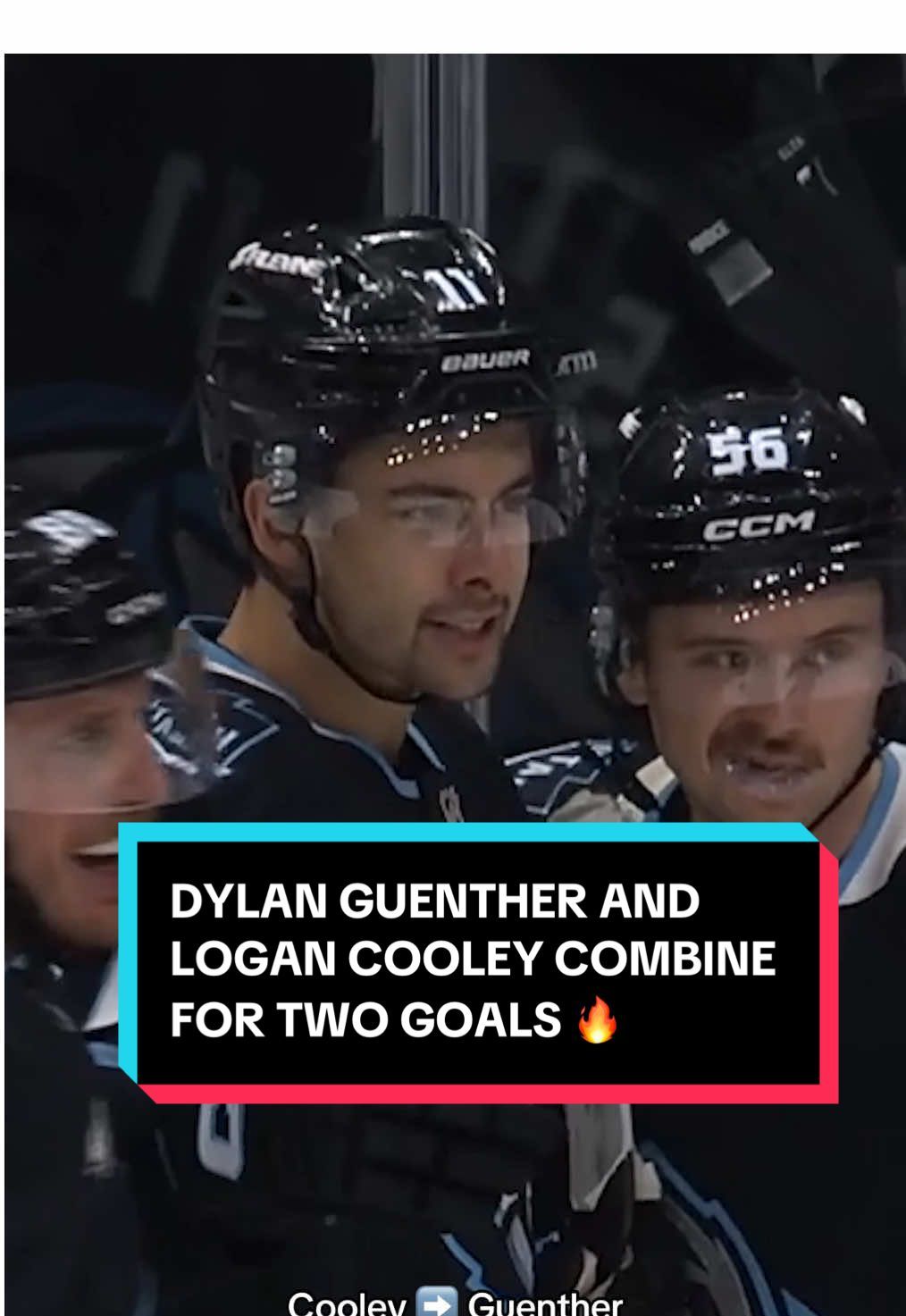 Video post by @nhl on TikTok