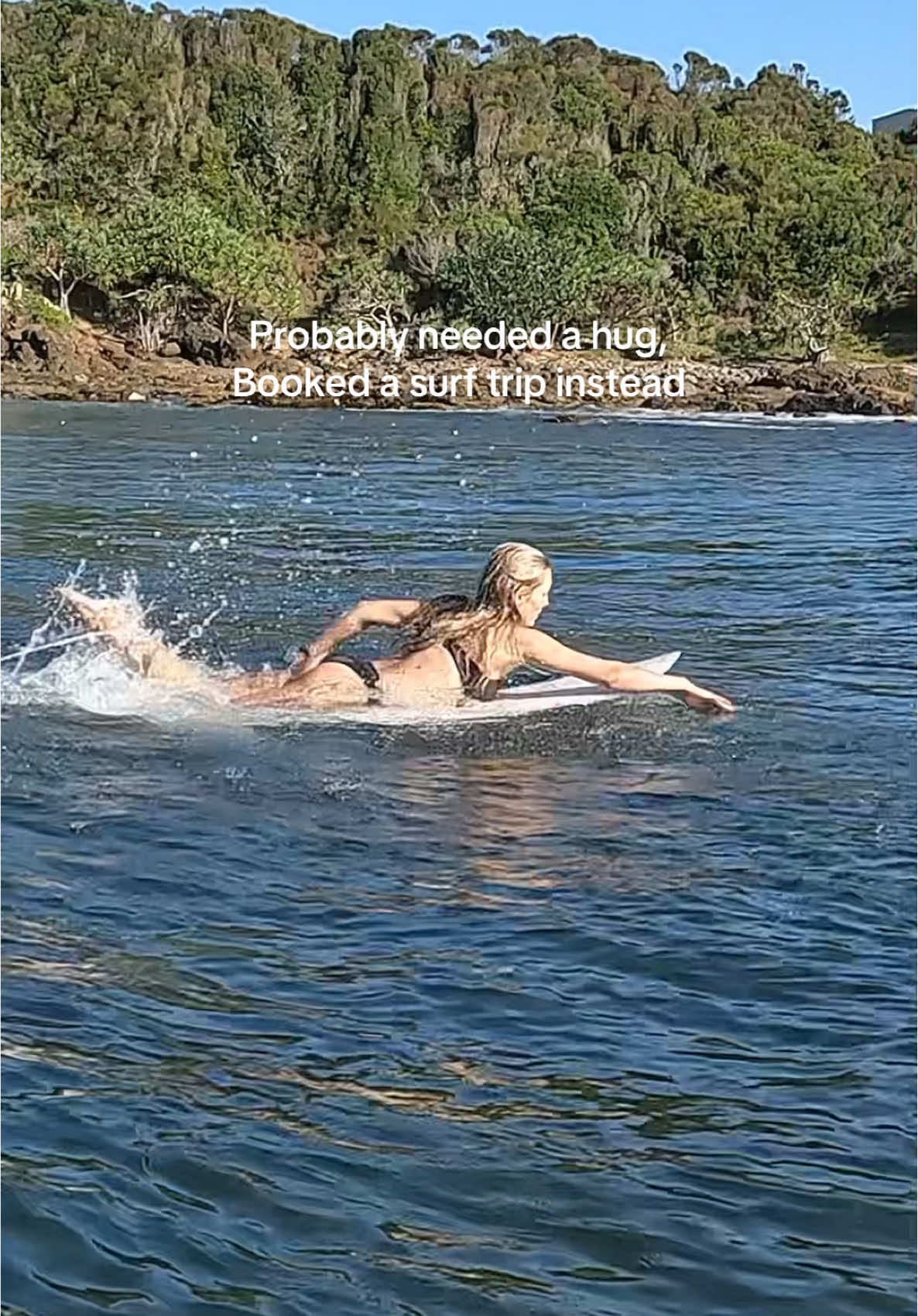 Video post by @frothyblonde on TikTok