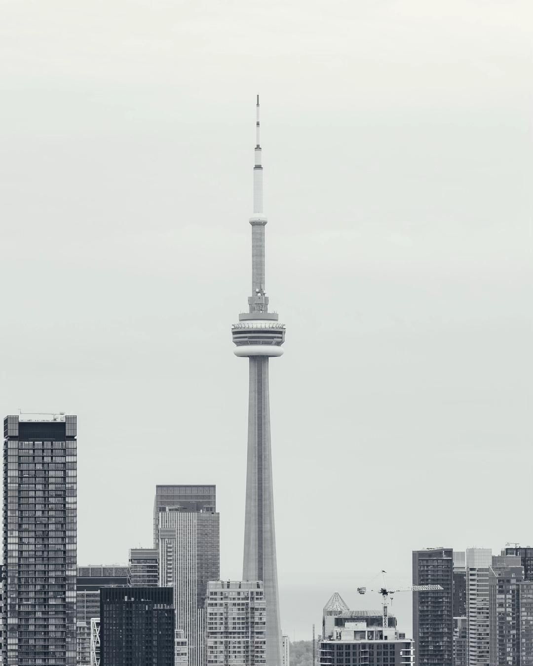 Video post by @905shooter on TikTok