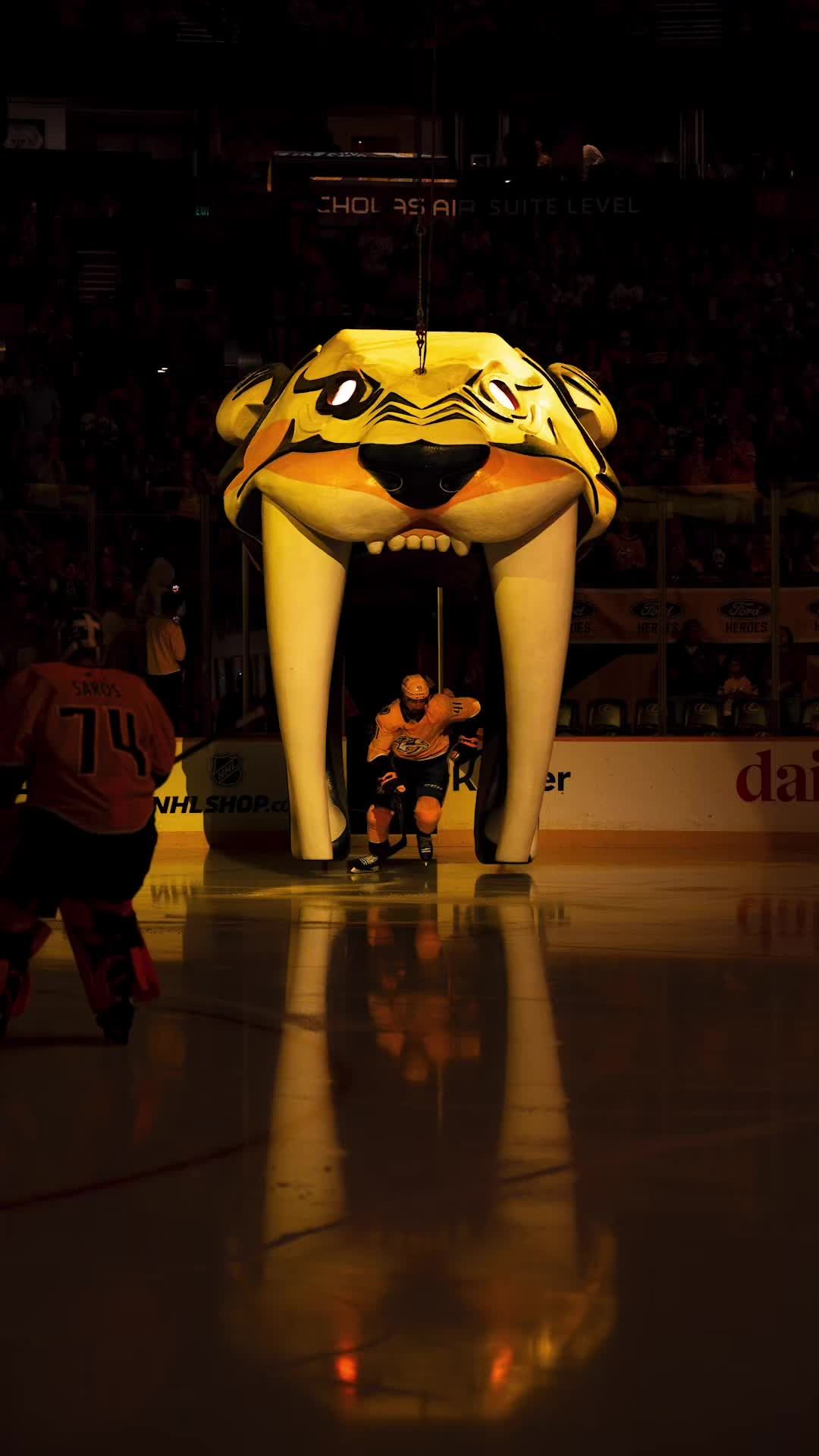 Video post by @mveldmanphoto on TikTok