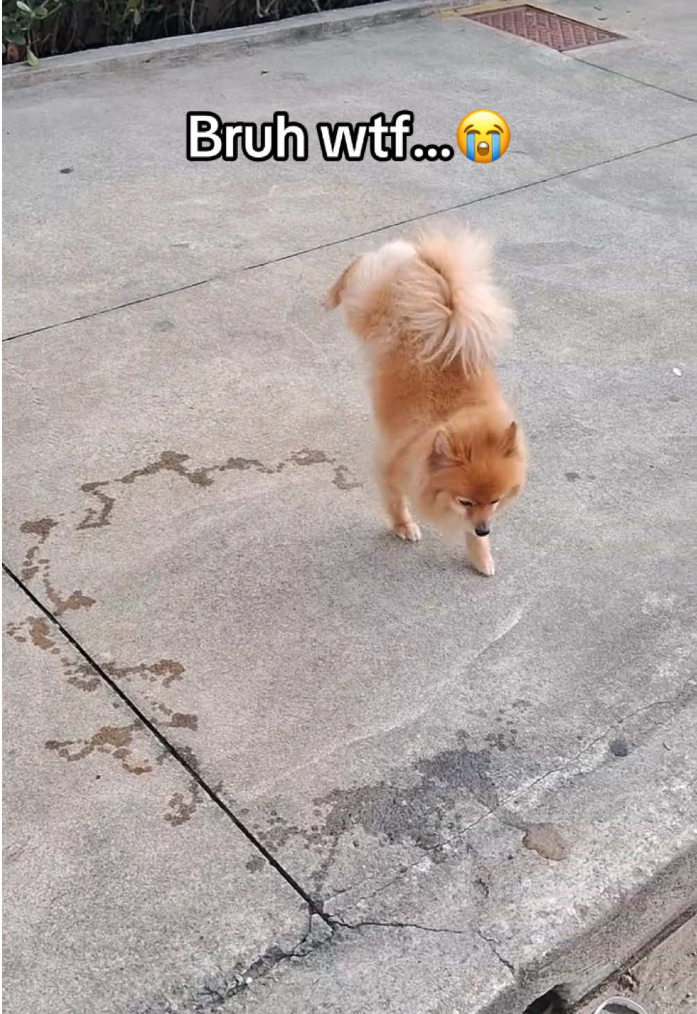 Video post by @overtime on TikTok