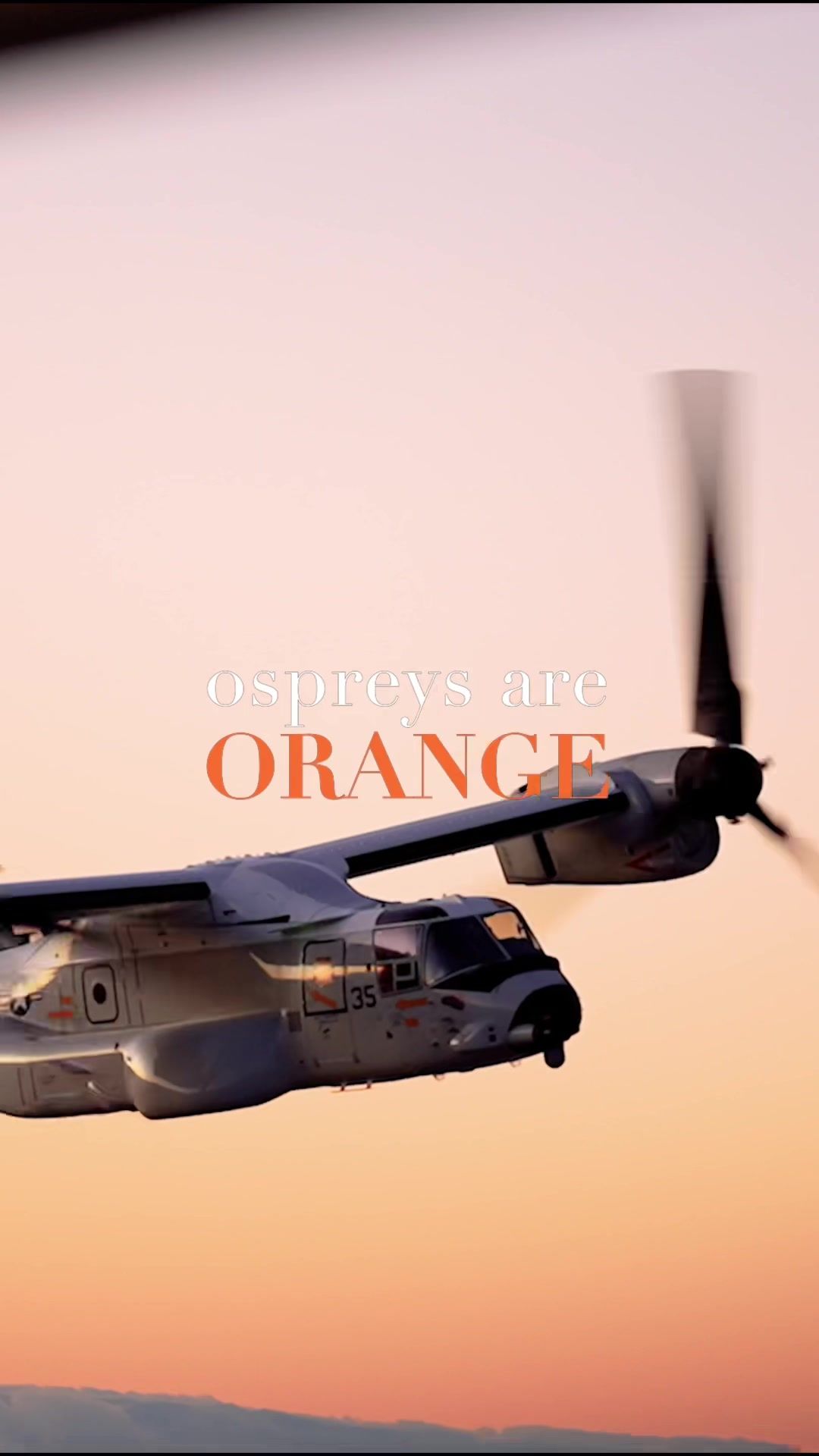 Video post by @schultzelliott on TikTok