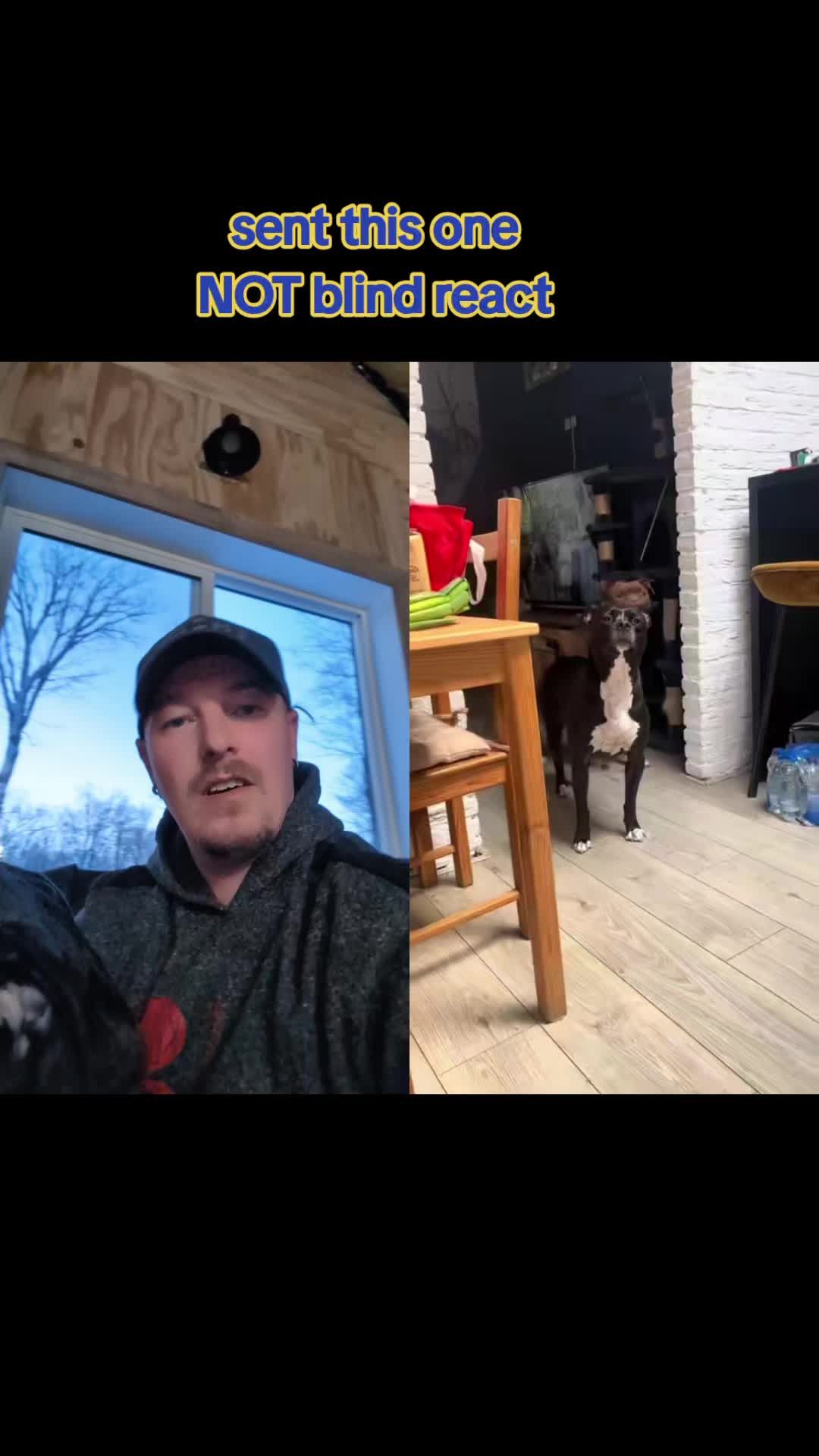 Video post by @northern_misfit on TikTok