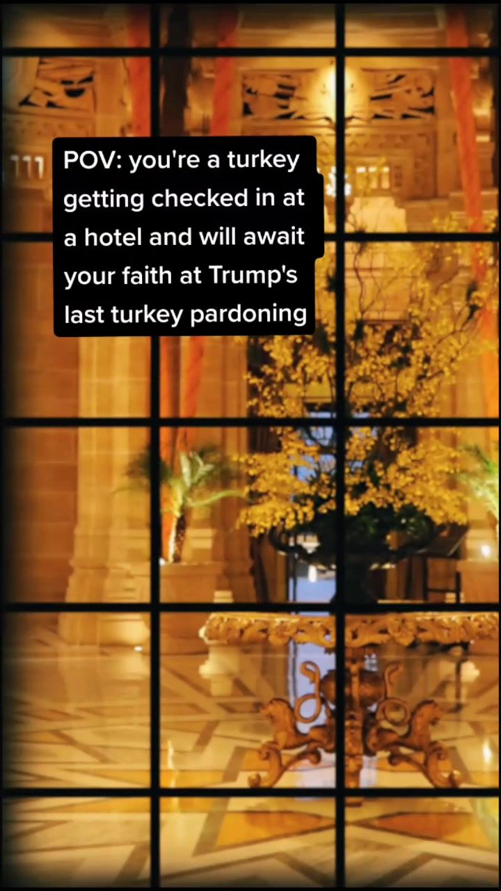 Video post by @mashable on TikTok