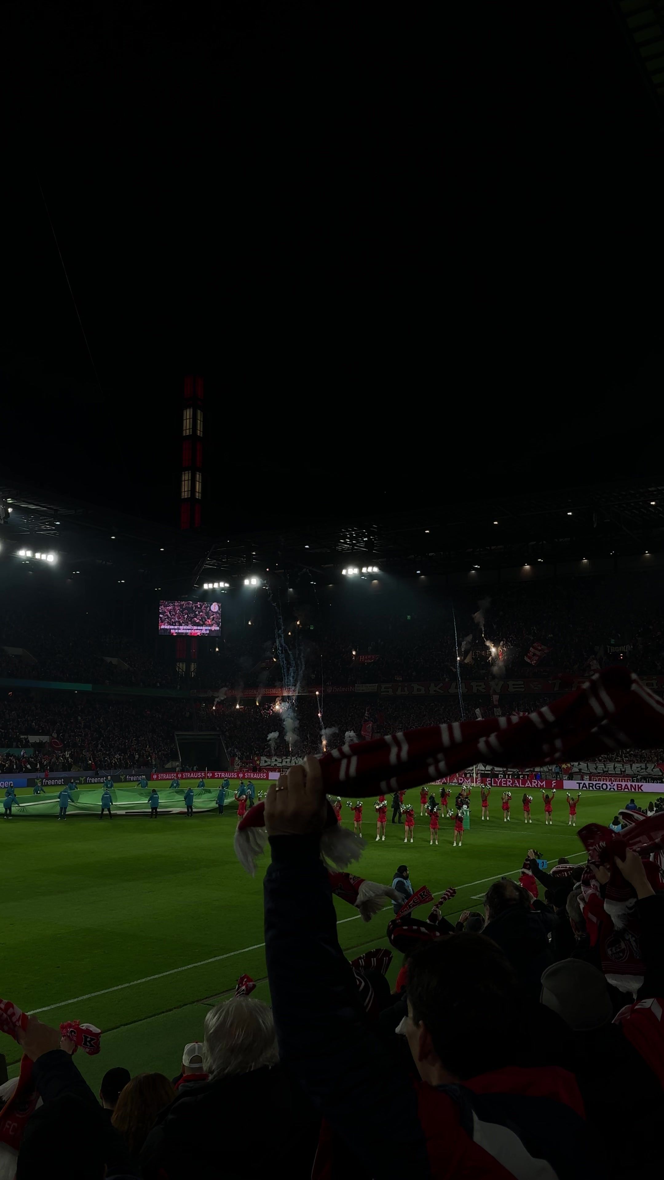 Video post by @livy.winter on TikTok