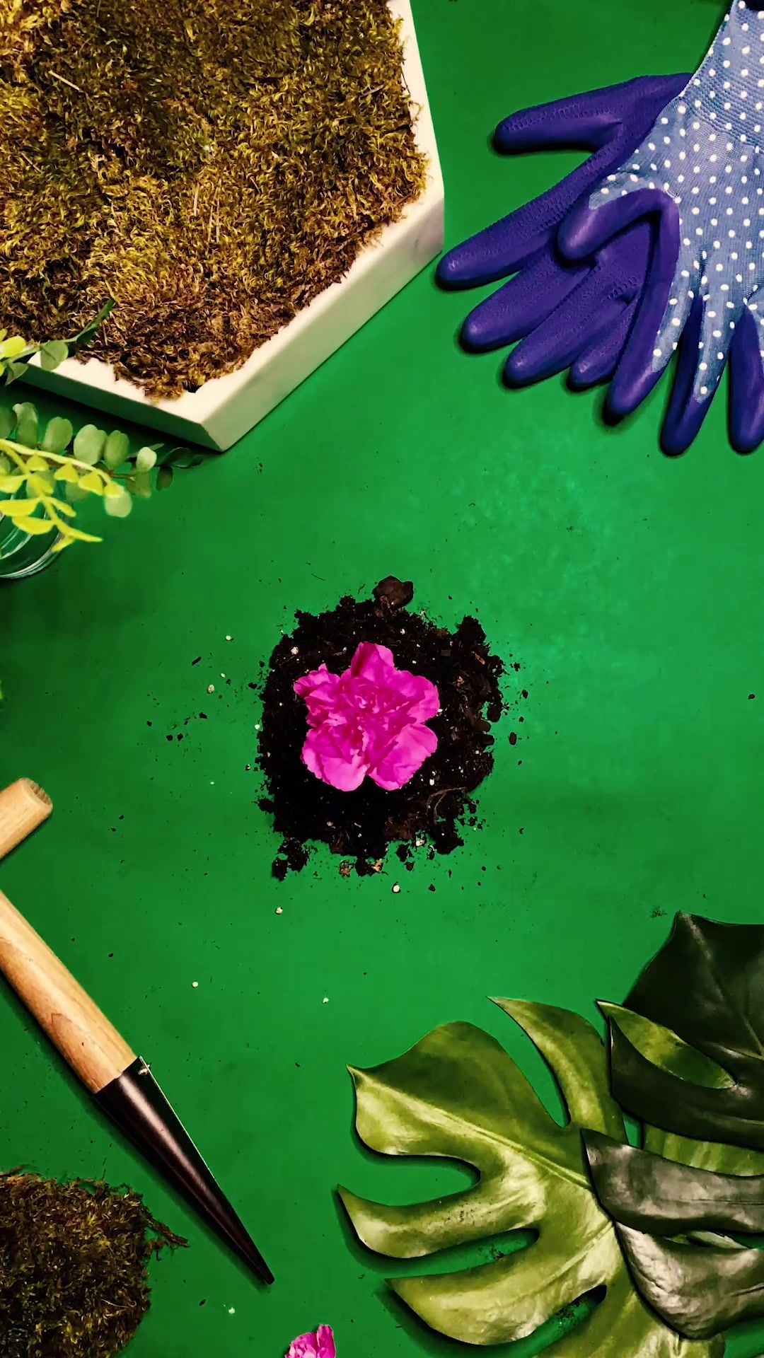 Video post by @daniellehwaterman on TikTok