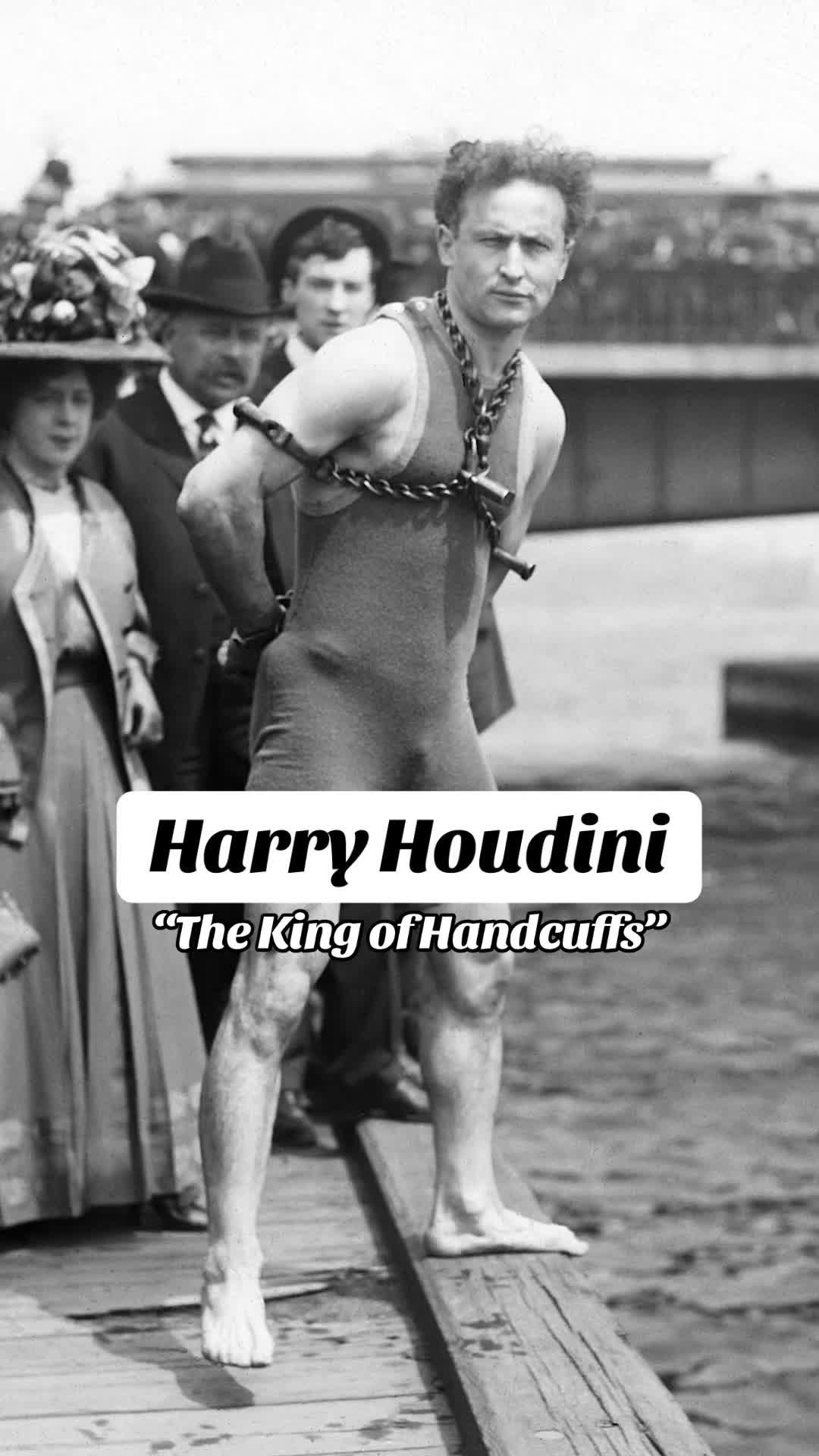 Video post by @pbs on TikTok