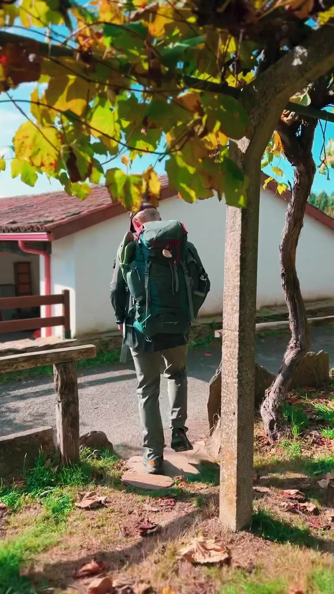 Video post by @thatoneblondkid on TikTok