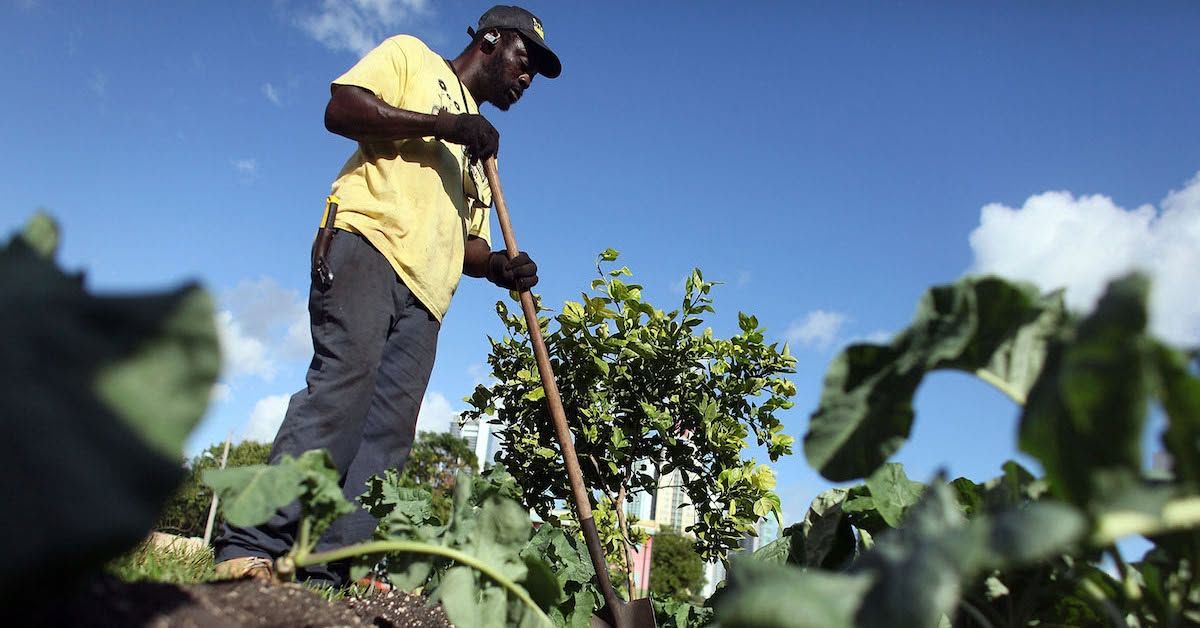 Image post by @nationswell on Facebook