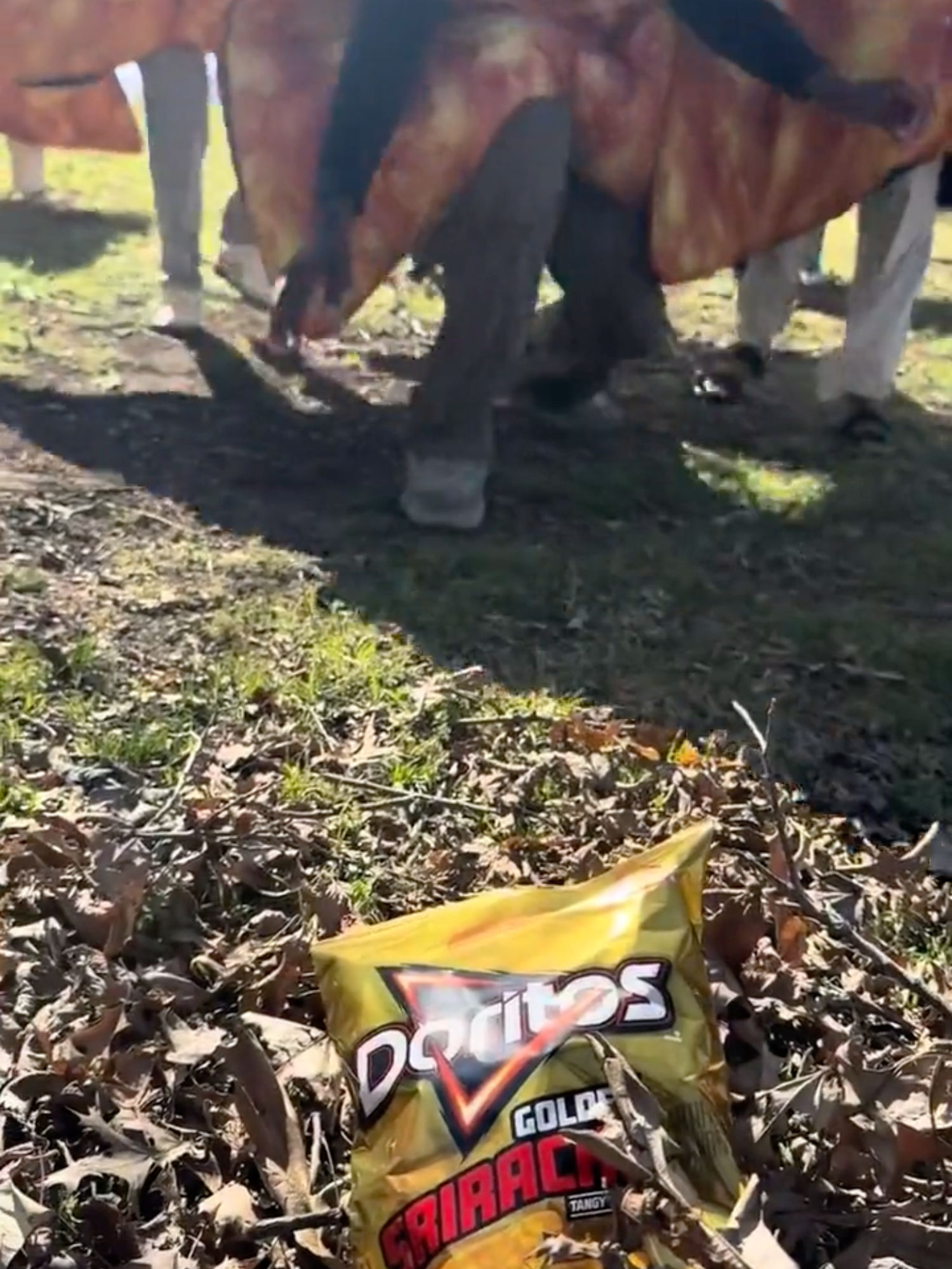 Video post by @doritos on TikTok
