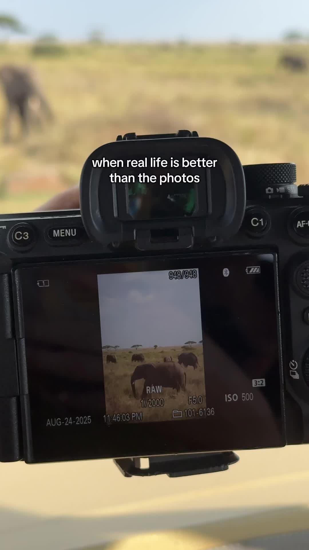 Video post by @thewayfaress on TikTok