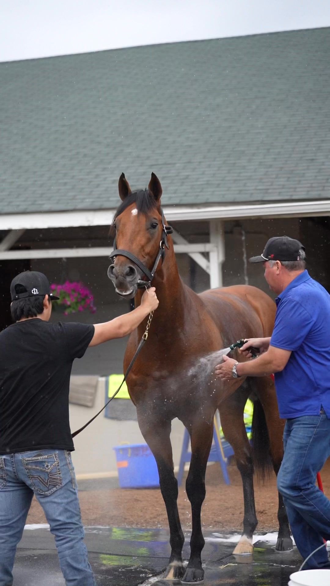 Video post by @FanDuelRacing on Facebook