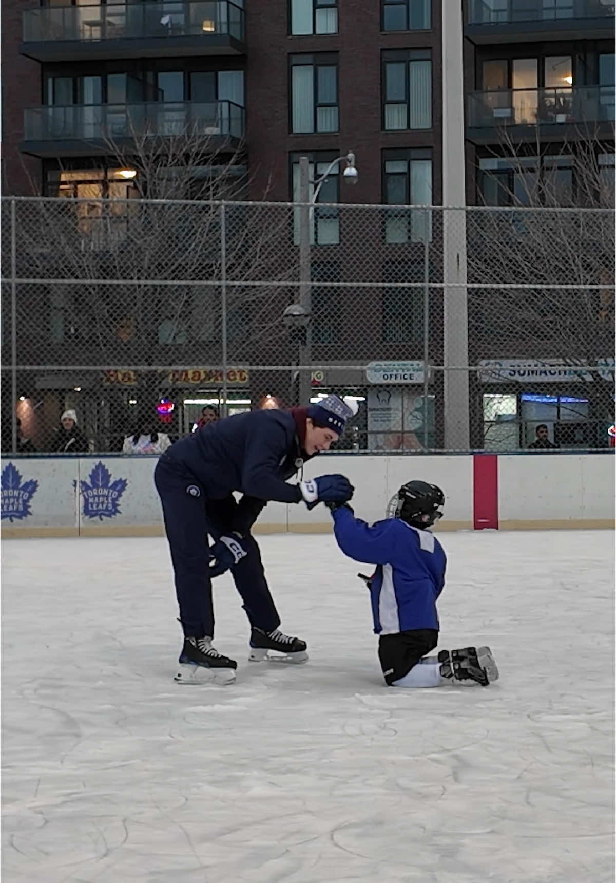 Video post by @torontomarlies on TikTok
