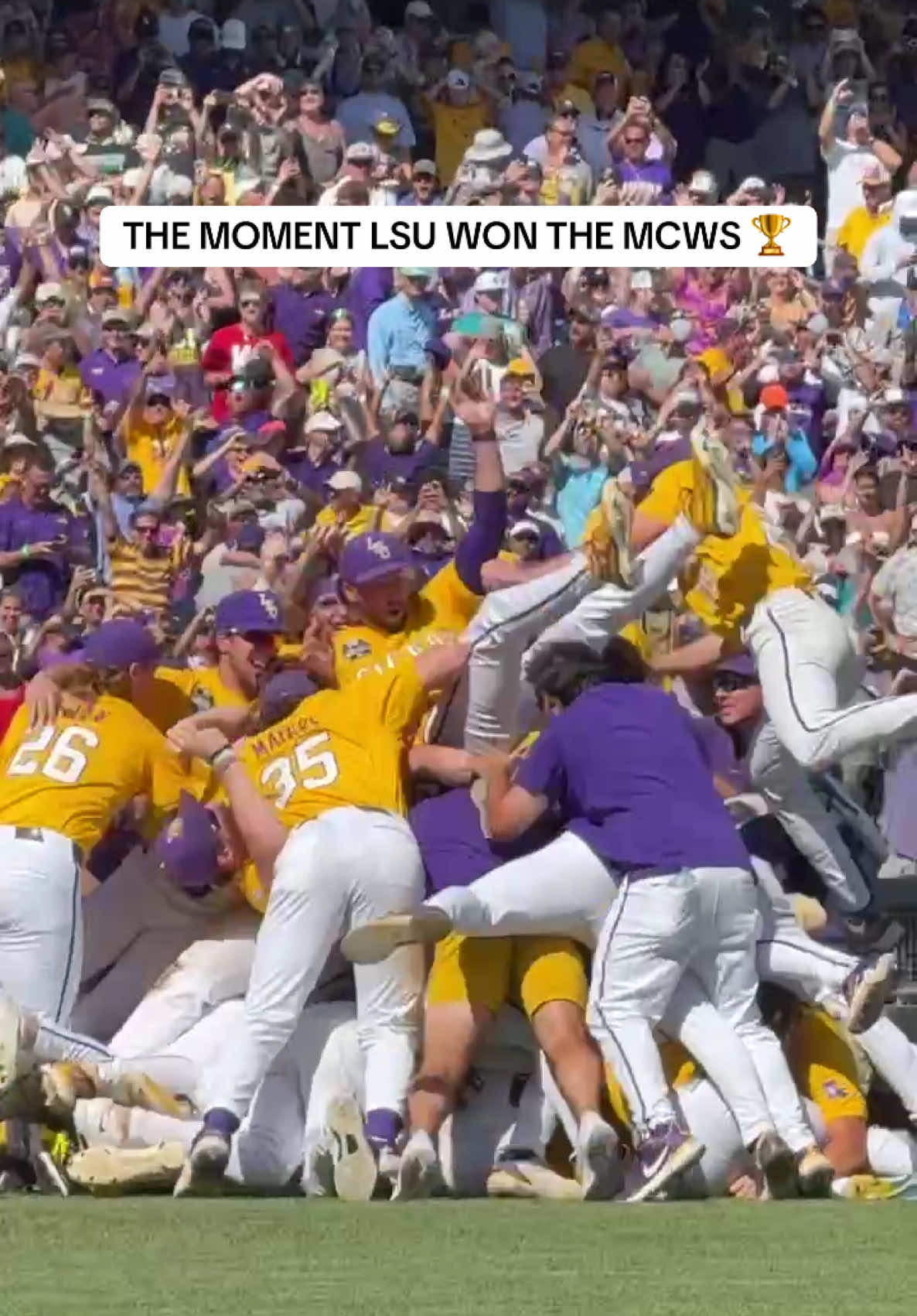 Video post by @secnetwork on TikTok