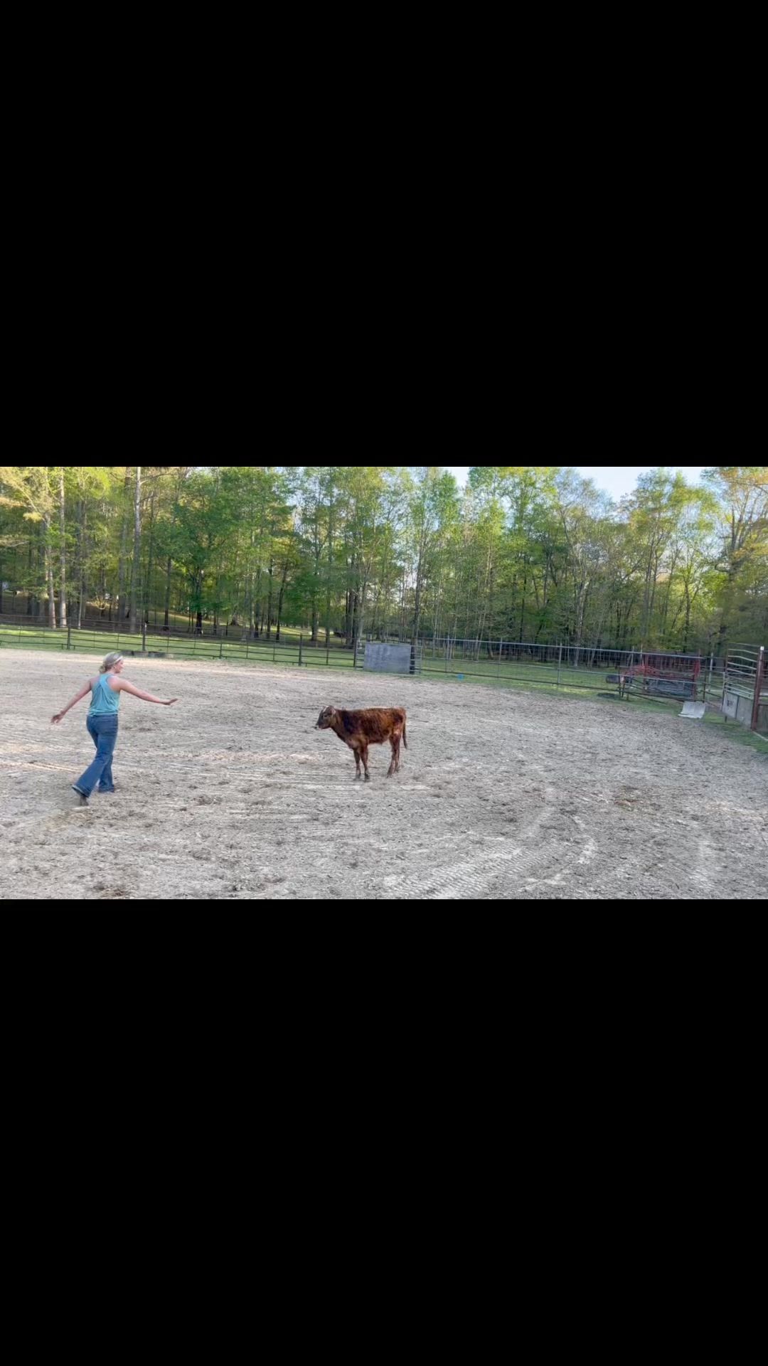 Video post by @326488683877065 on Facebook