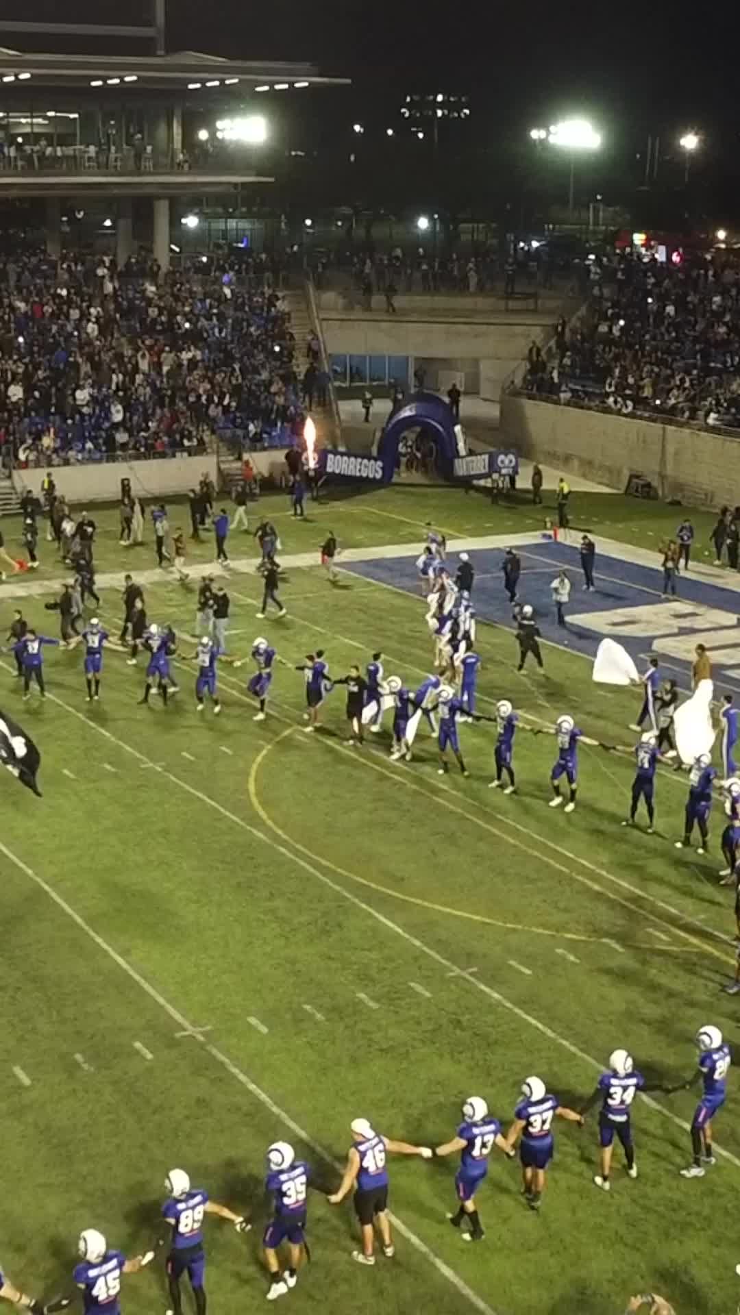 Video post by @borregostec on TikTok