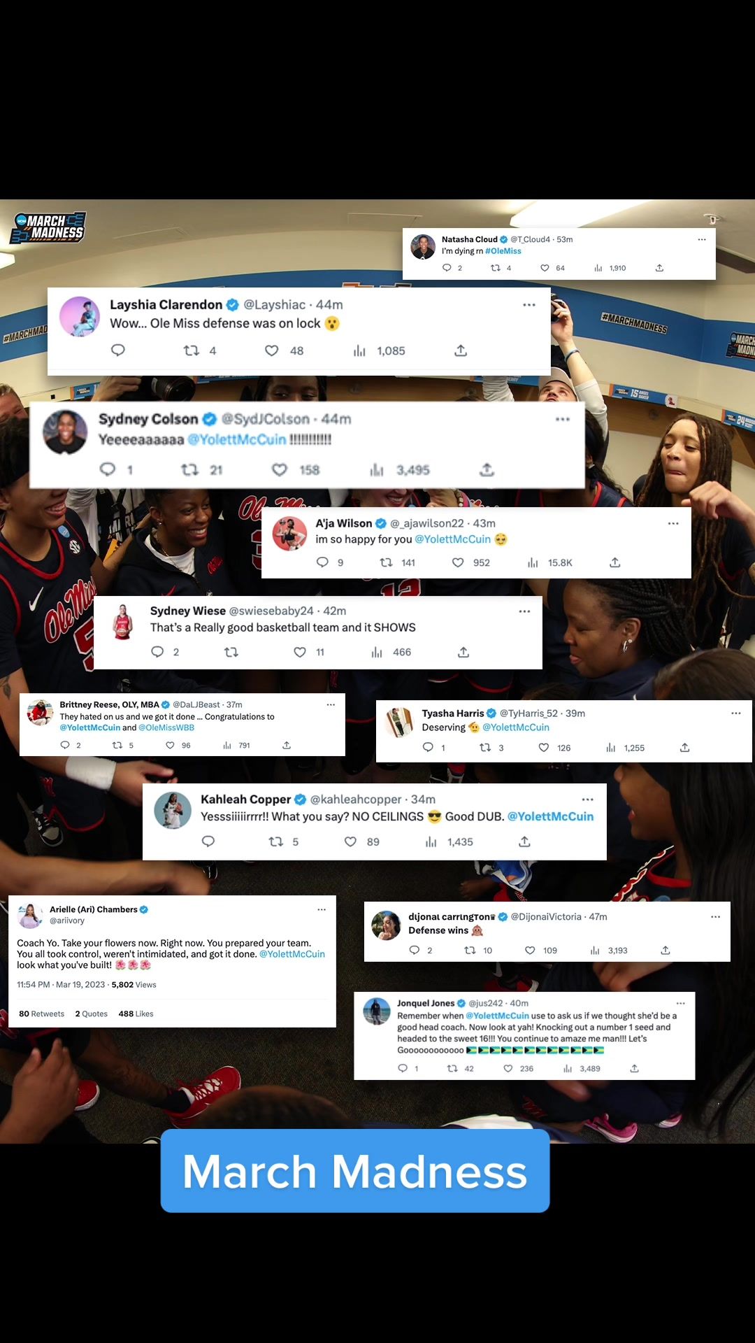 Video post by @marchmadnesswbb on TikTok