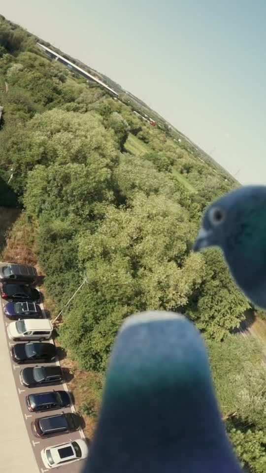 Video post by @hm on TikTok