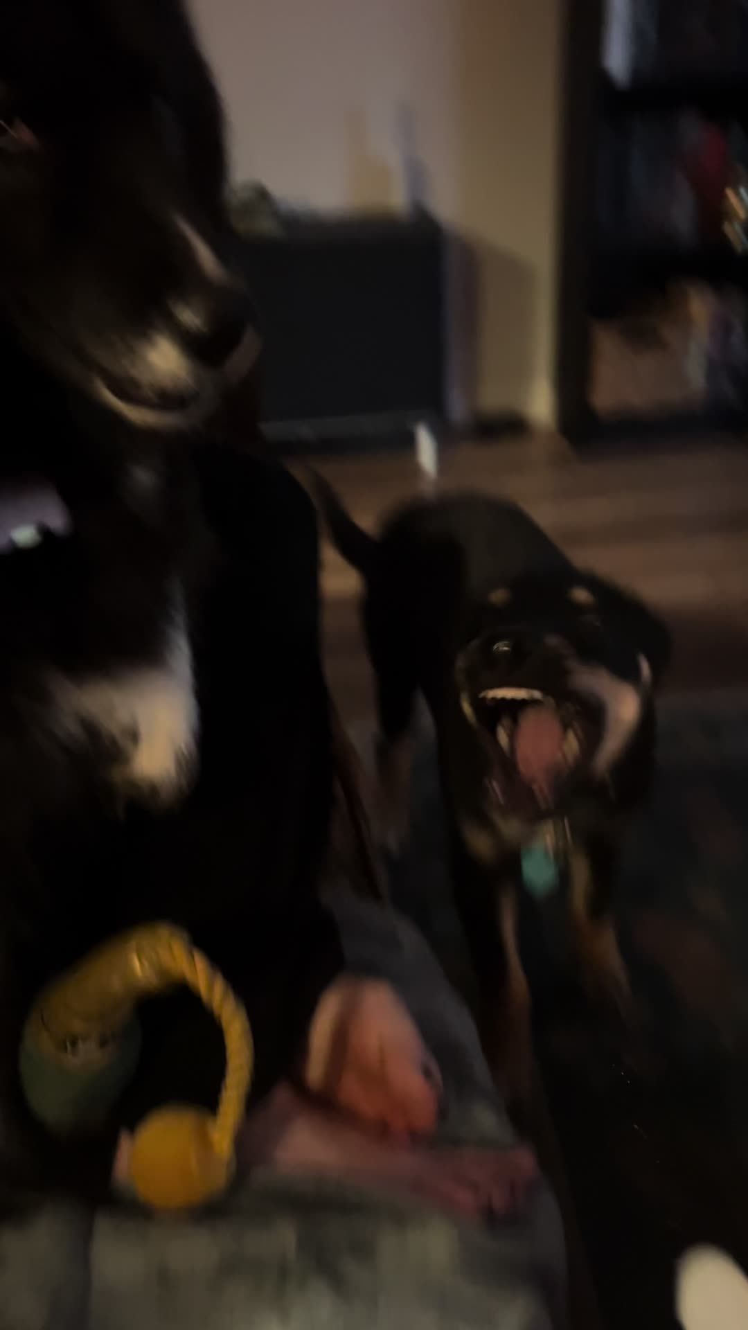 Video post by @madisonrykewx on TikTok