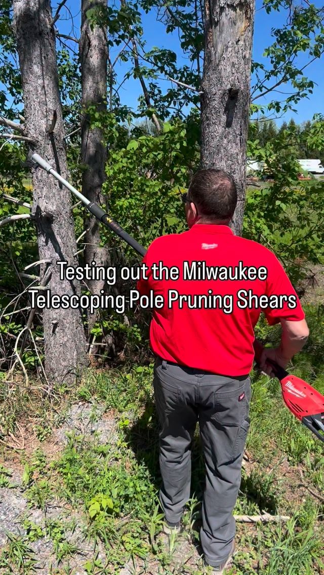 Video post by @JCCayer on Facebook