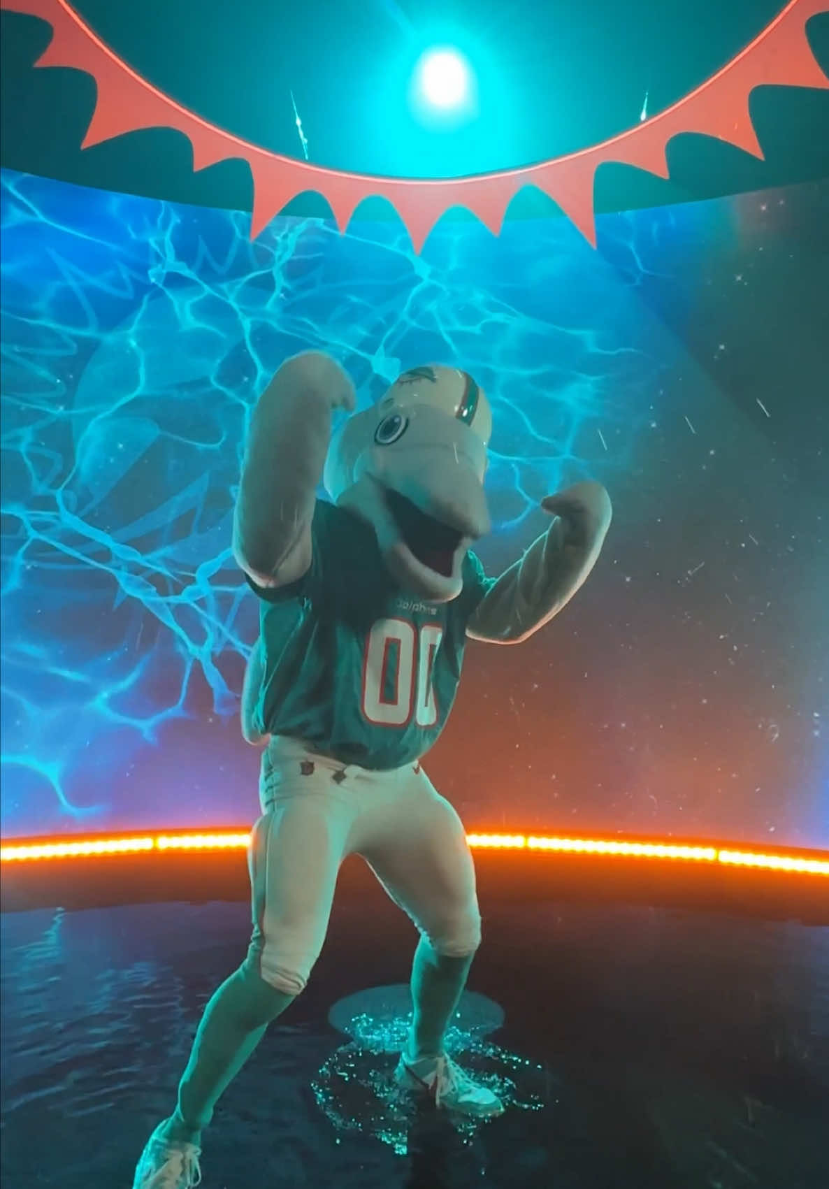 Video post by @miamidolphins on TikTok