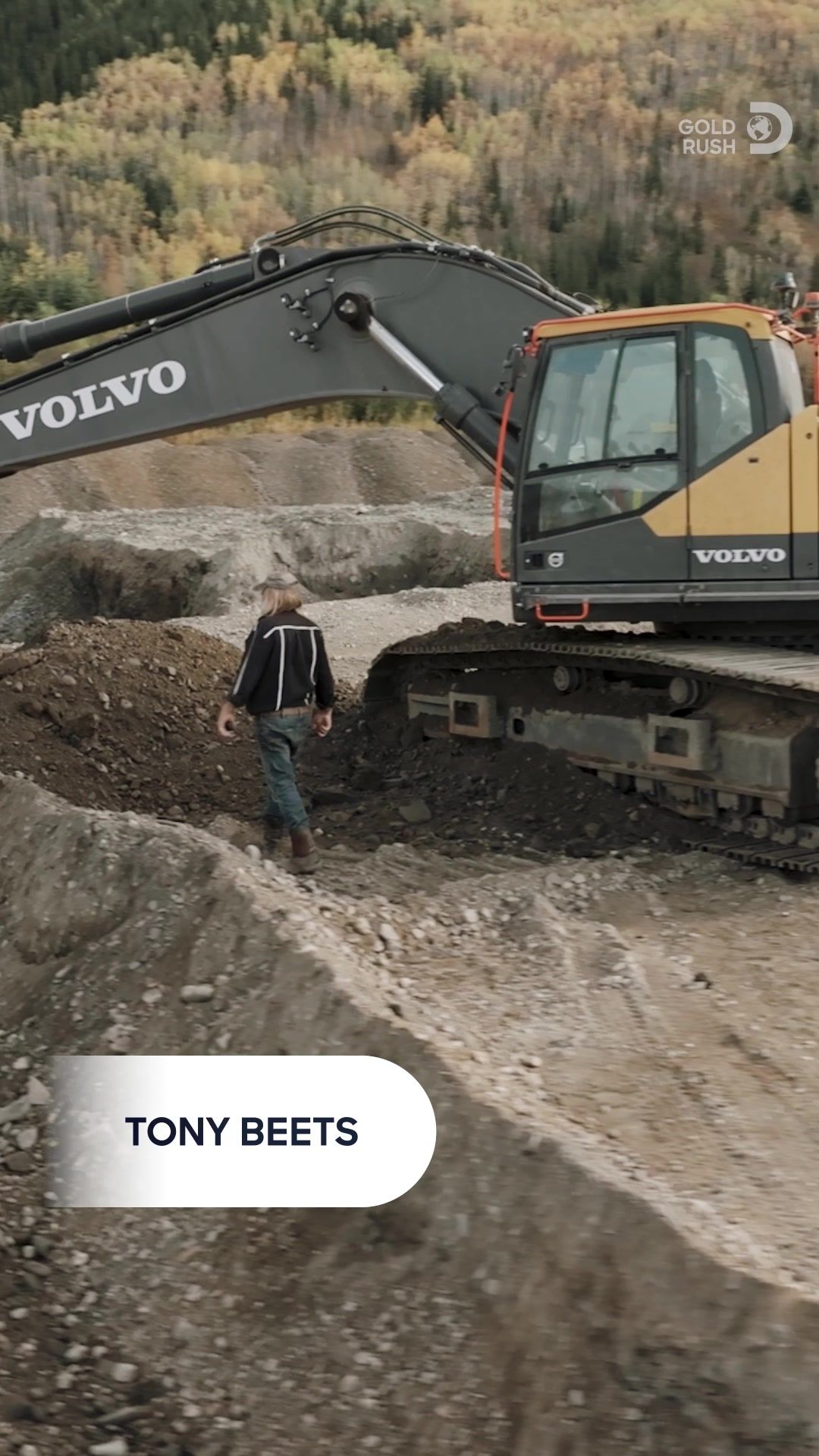 Video post by @discovery on TikTok