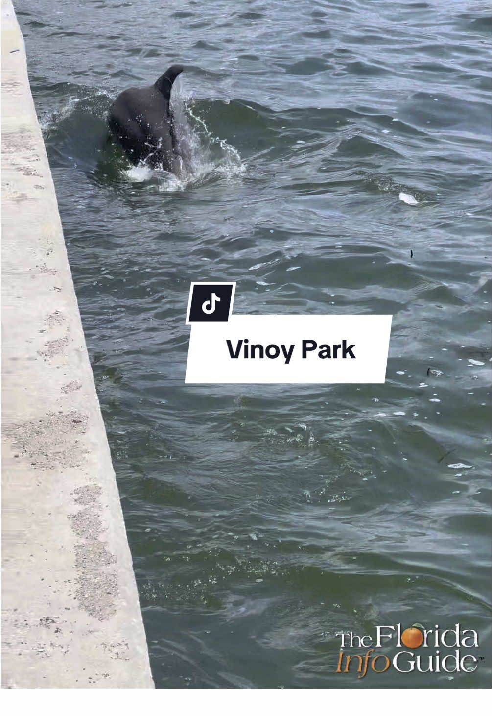 Video post by @fl.infoguide on TikTok