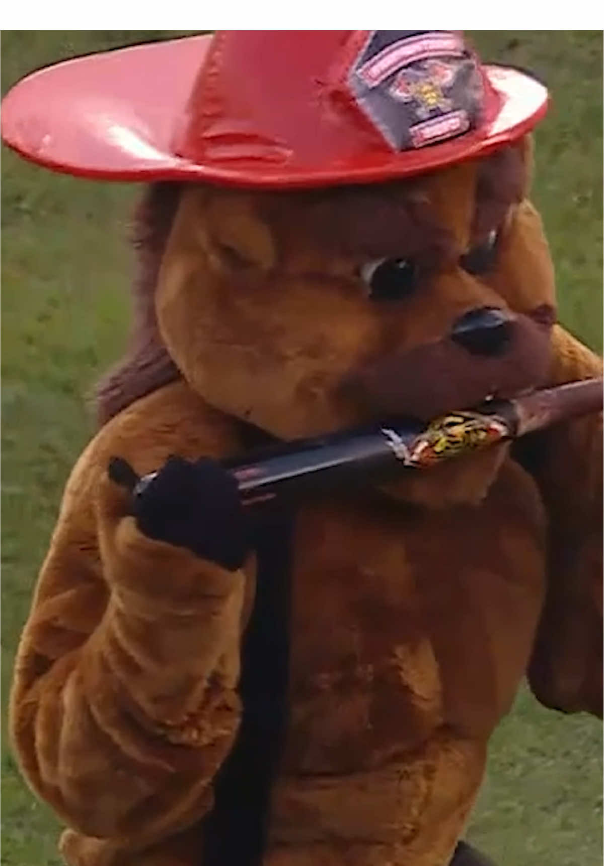 Video post by @theofficialfirefighters on TikTok