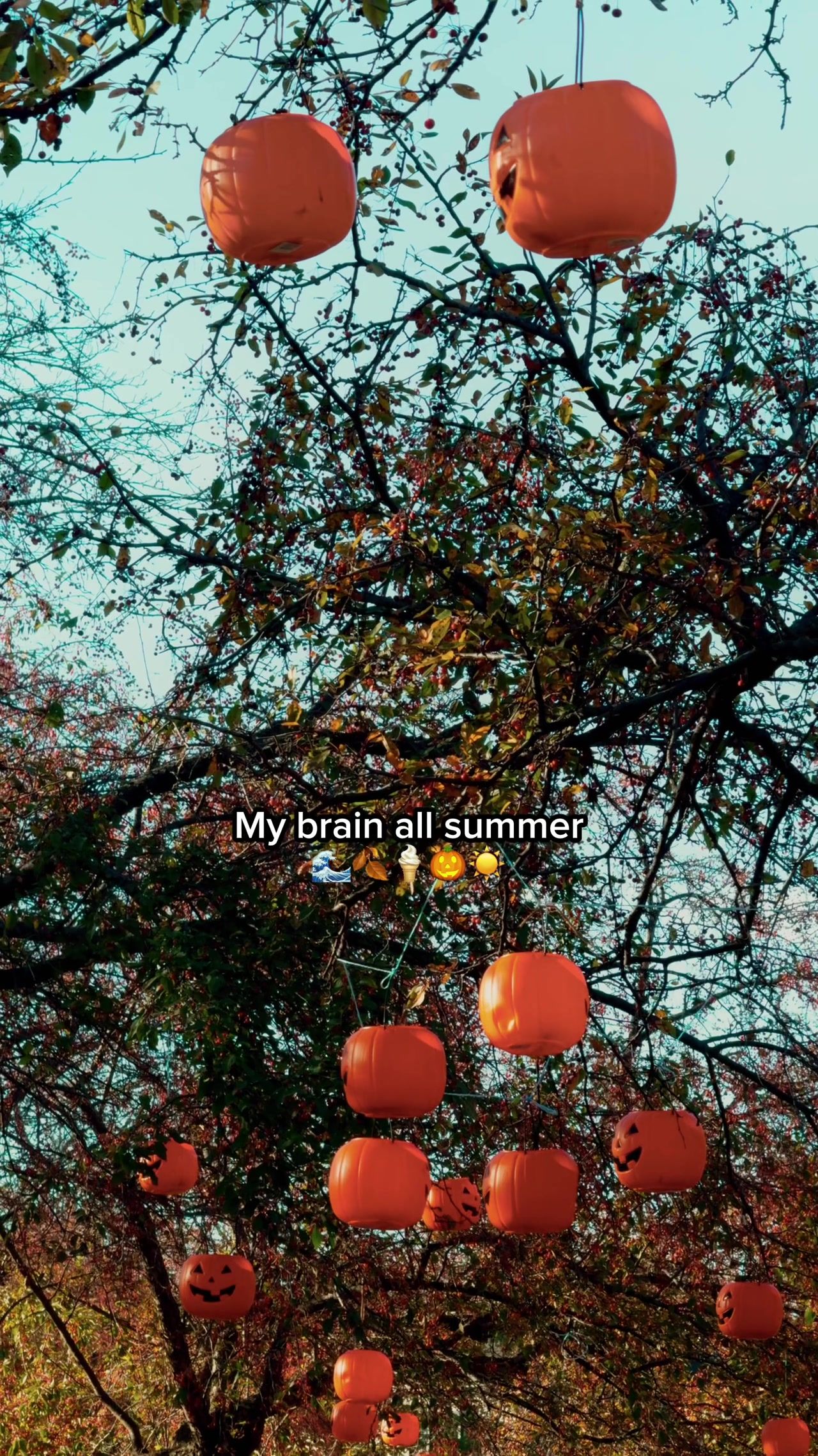 Video post by @bathandbodyworks on TikTok