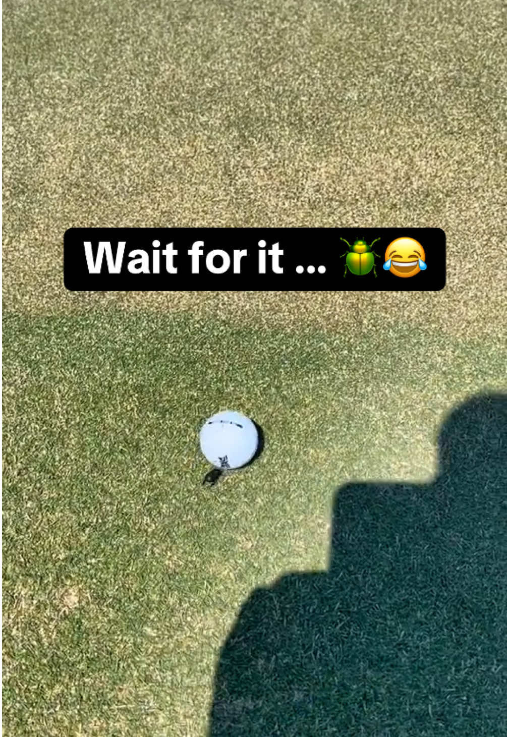 Video post by @golfoncbs on TikTok