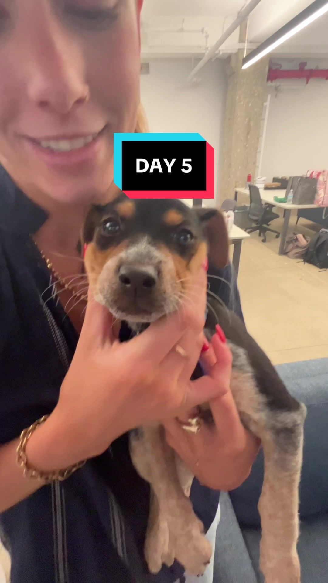 Video post by @.squilly on TikTok