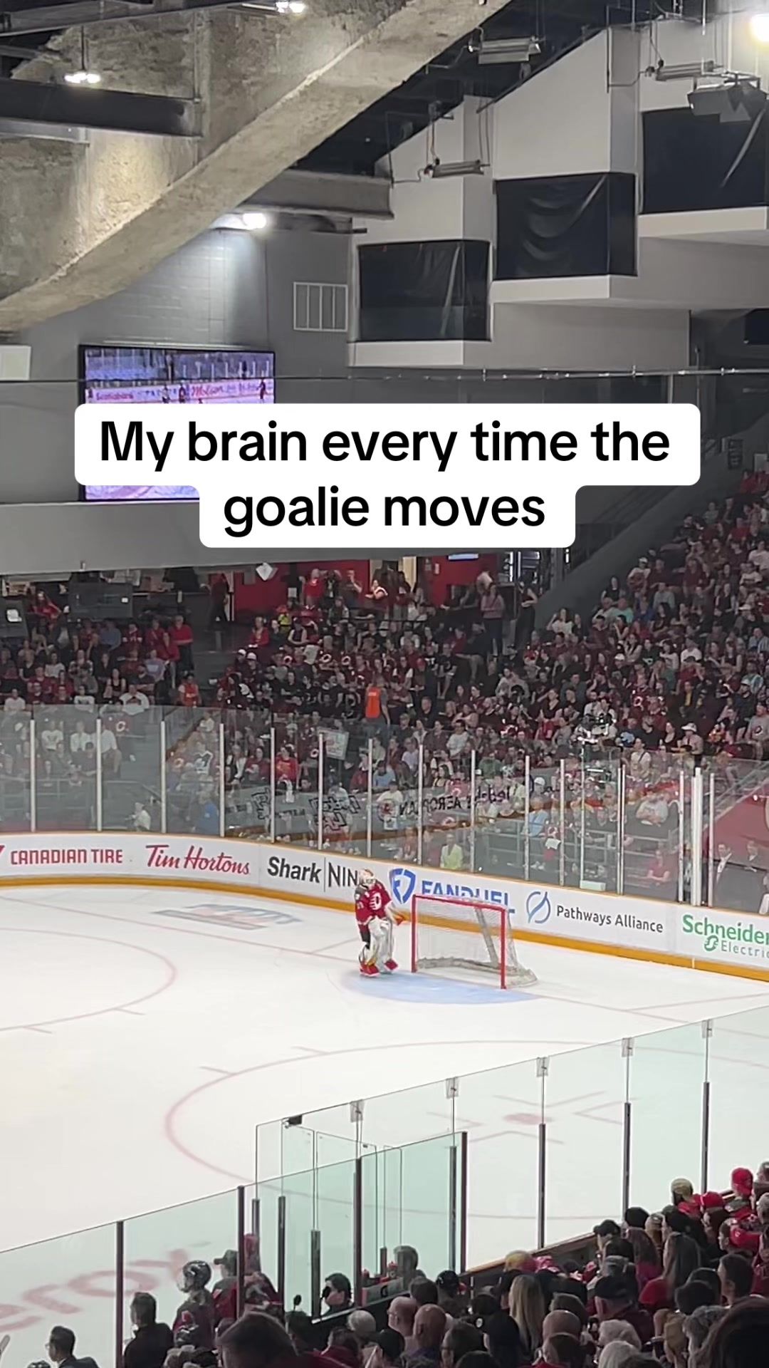 Video post by @sportsgirlsclub on TikTok