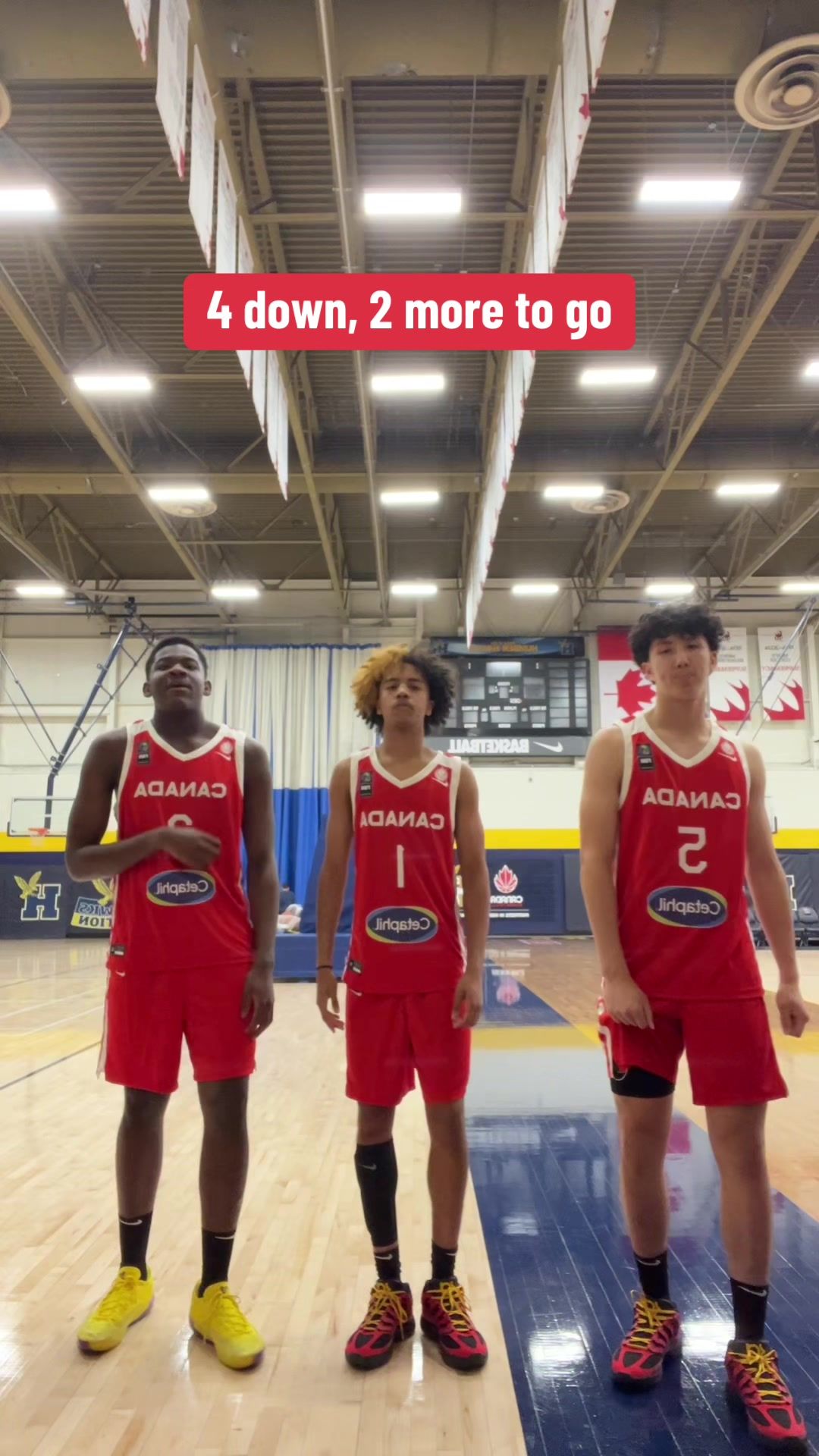 Video post by @canbball on TikTok