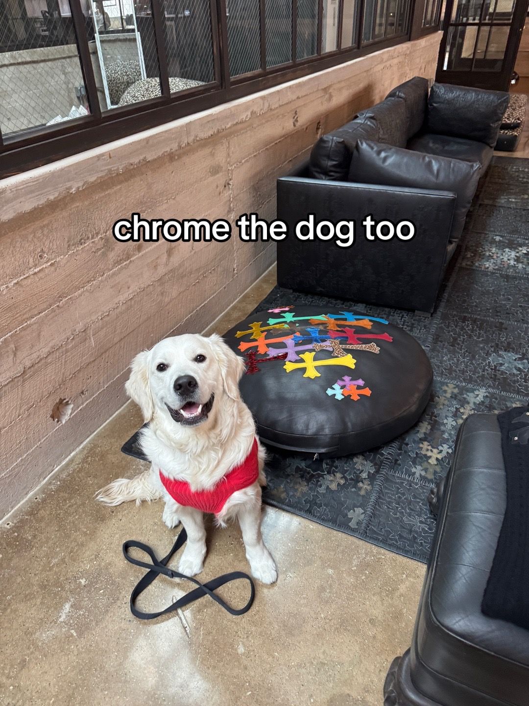 Video post by @foodychannel on TikTok