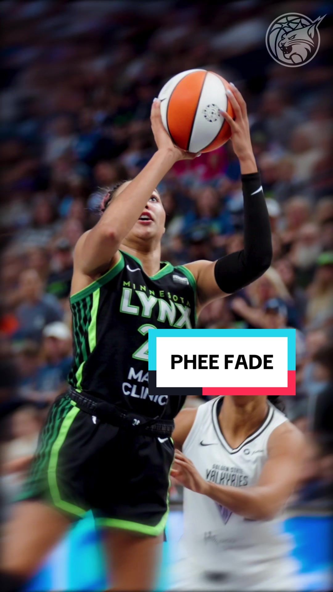 Video post by @minnesotalynx on TikTok