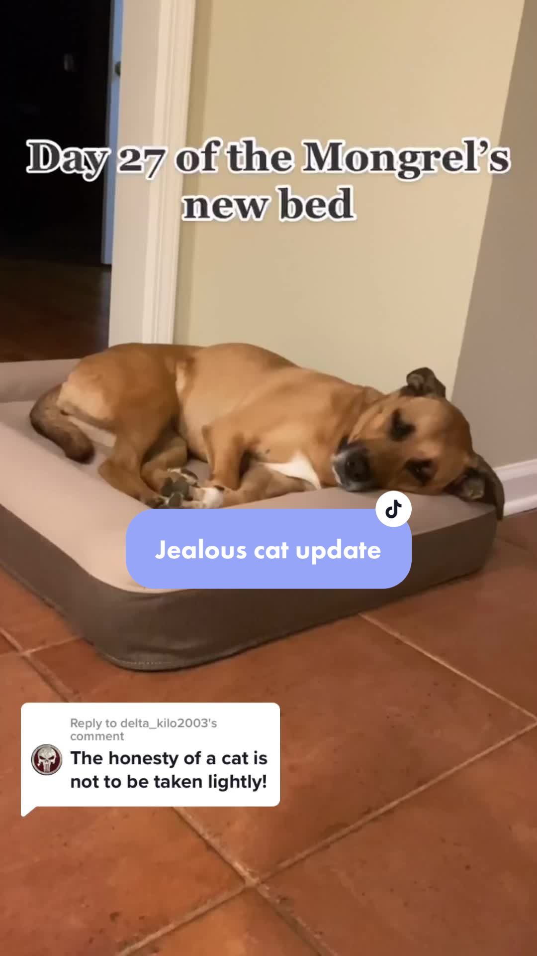 Video post by @casper on TikTok