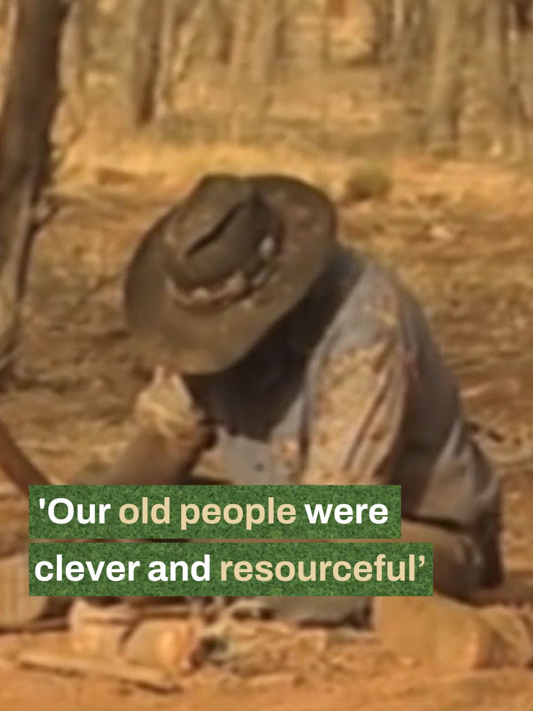 Video post by @nitv on TikTok