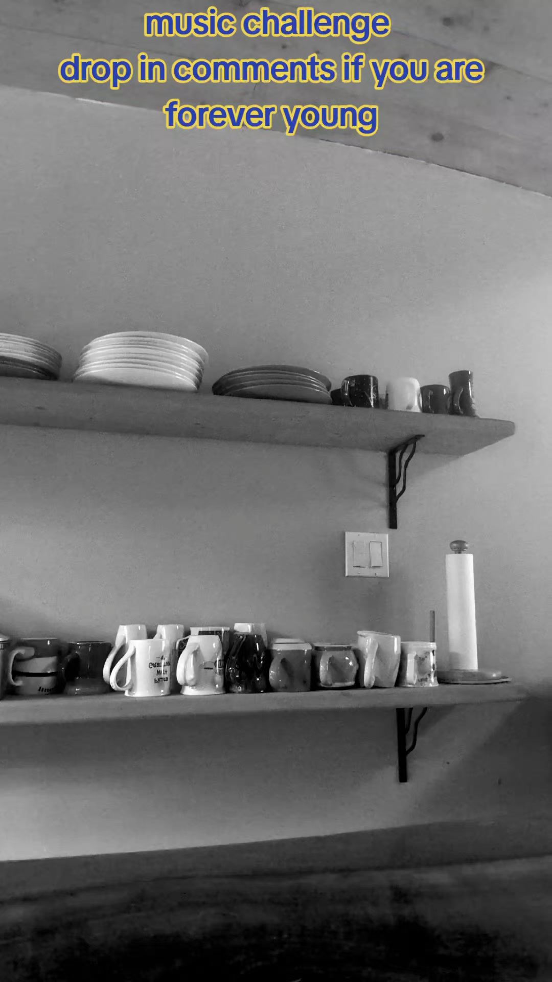 Video post by @northern_misfit on TikTok