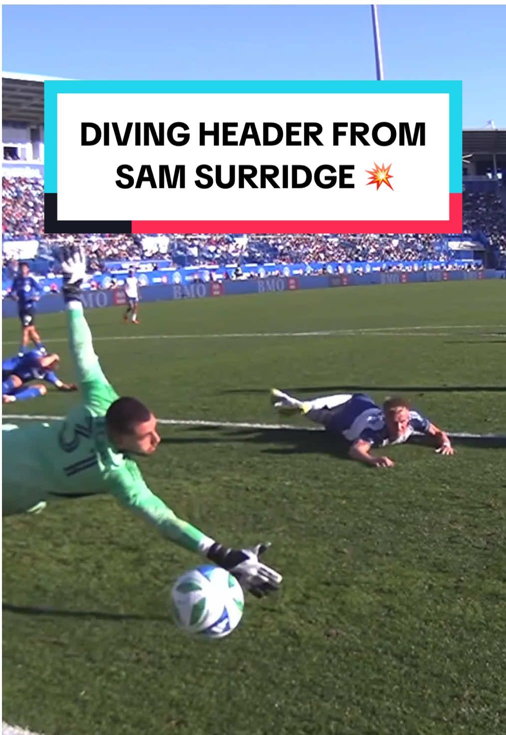 Video post by @mls on TikTok