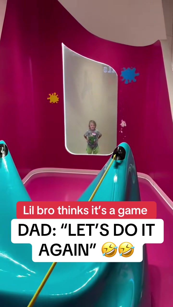 Video post by @houseofhighlights on TikTok