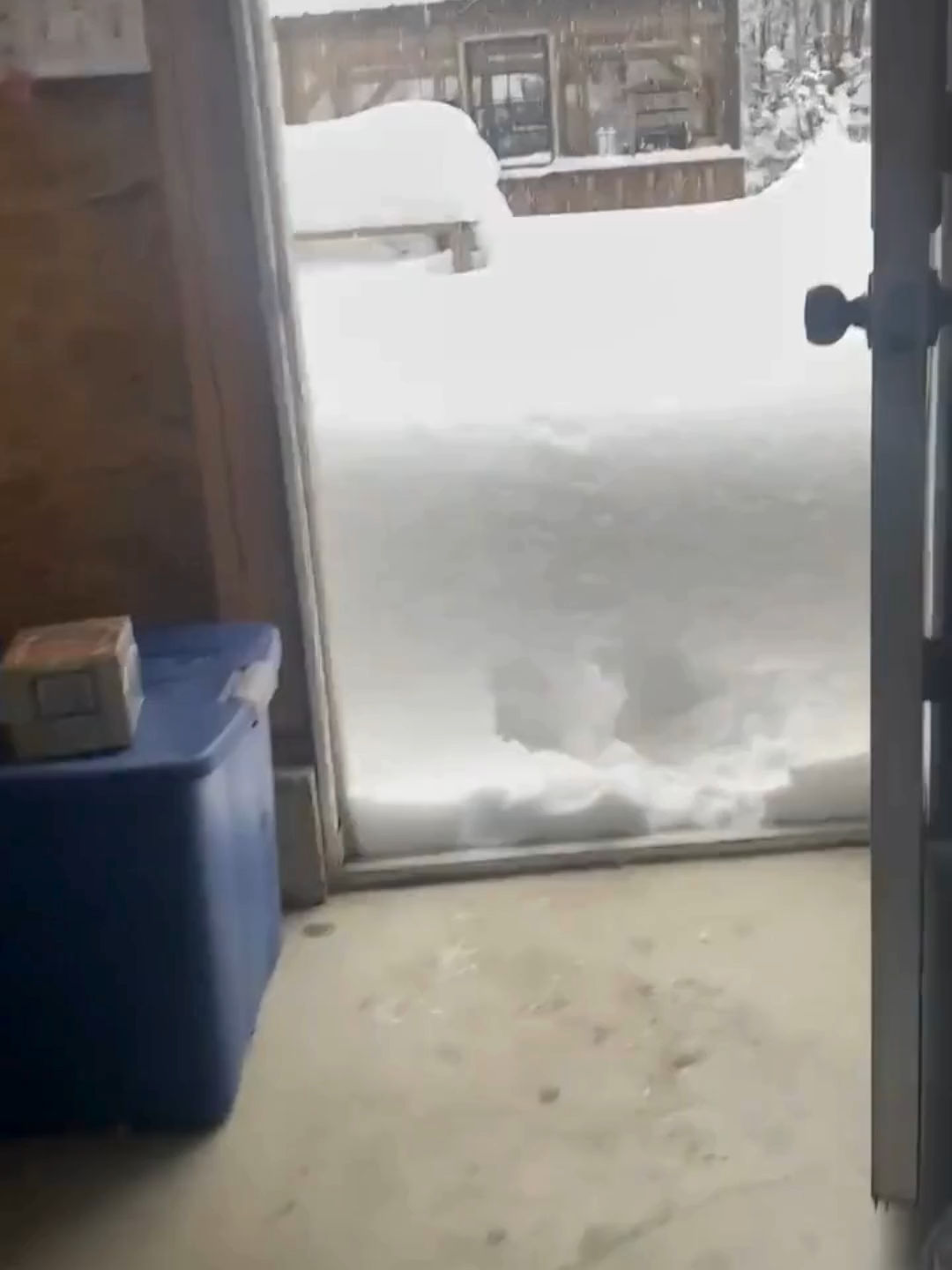 Video post by @foxweather on TikTok