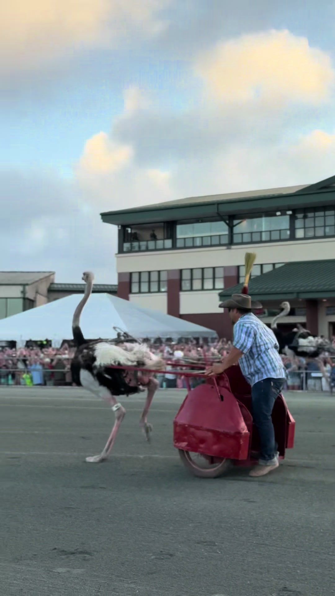 Video post by @oceandownscasino on TikTok